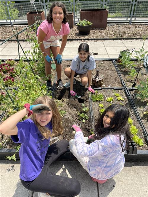 kids on garden