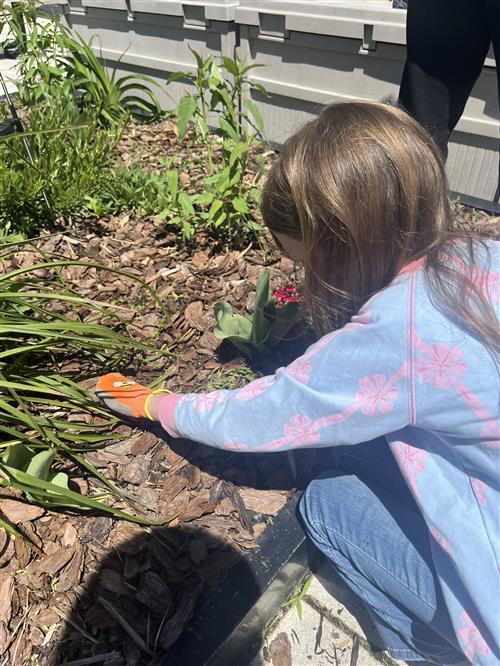 kids gardening