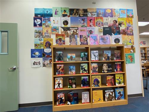 picture Book cover over a bookshelf